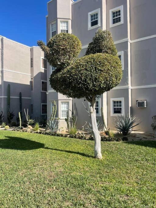شقة Departamento En 1Er Piso 2 Bdr 2Bath Tezal كابو سان لوكاس المظهر الخارجي الصورة